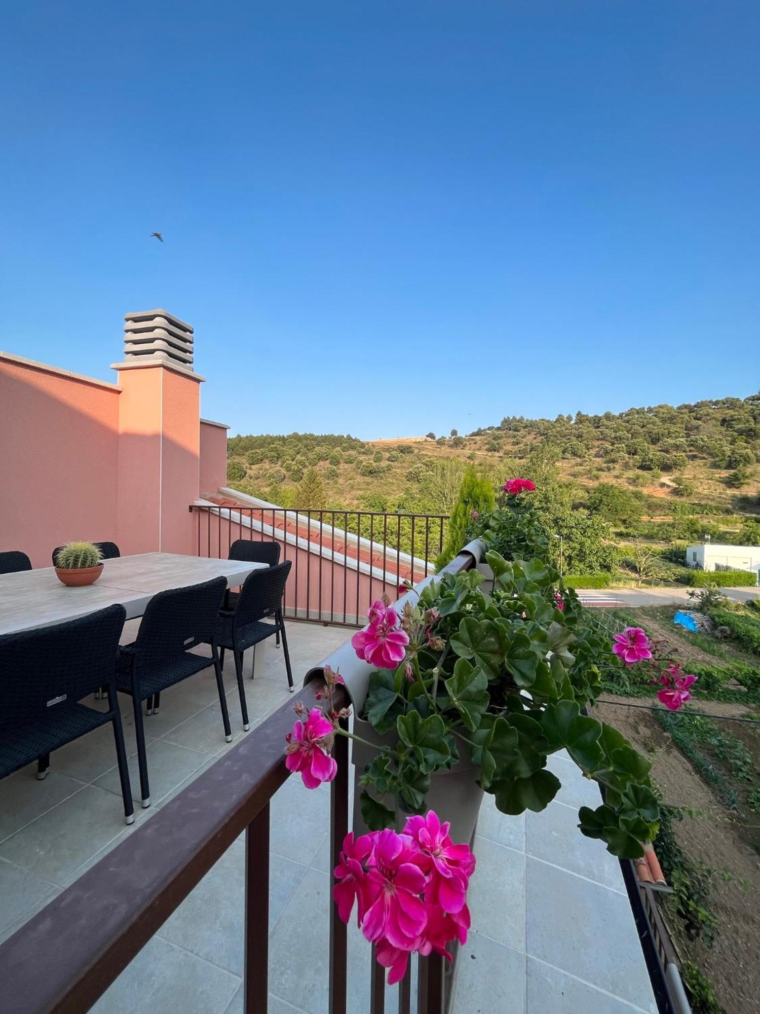 Apartamentos La Flor Сан-Мартин-де-Монкайо Экстерьер фото